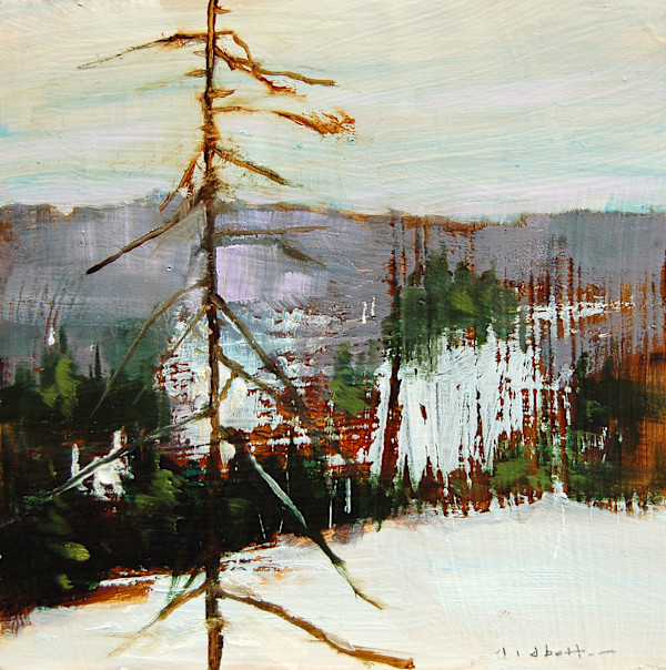 Algonquin Sketch by David Lidbetter Fine Art, Image 1.