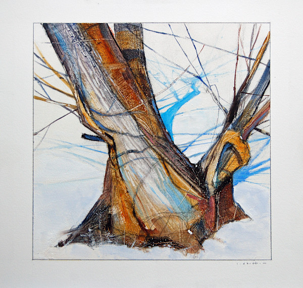 Arboretum Study 1, Image 1.