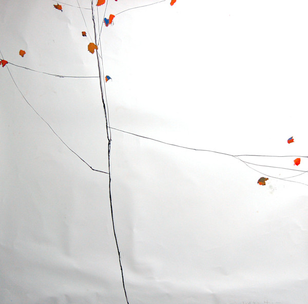 Autumn Tree 1 by David Lidbetter Fine Art, Image 1.