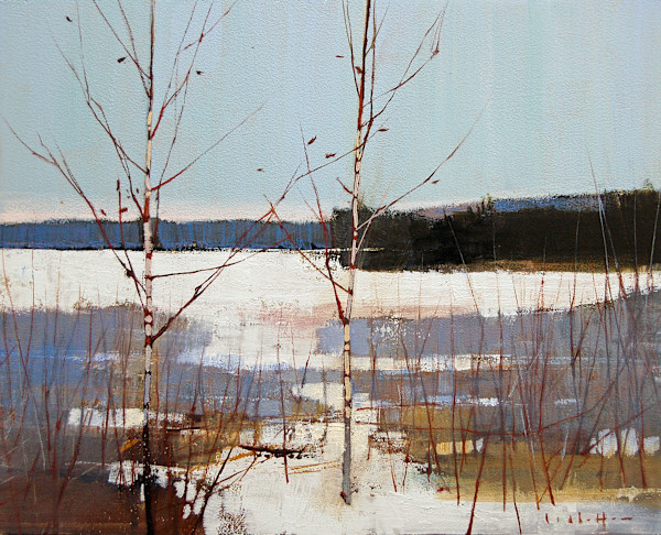 Bog Birch, Image 1.