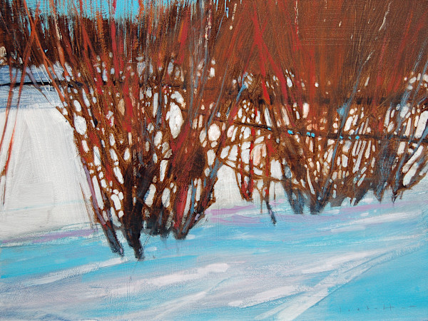 Clear Blue by David Lidbetter Fine Art, Image 1.