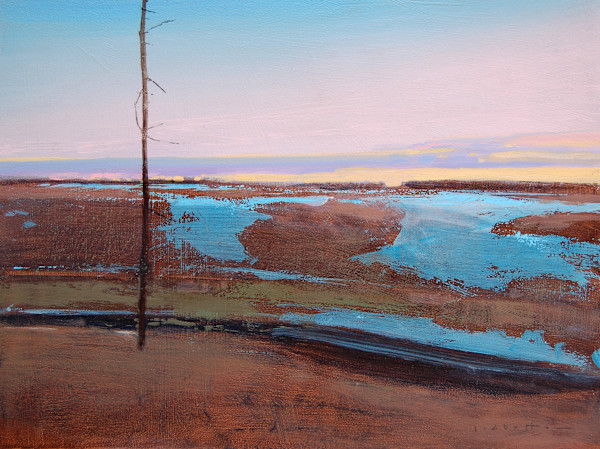 Evening Light by David Lidbetter Fine Art, Image 1.