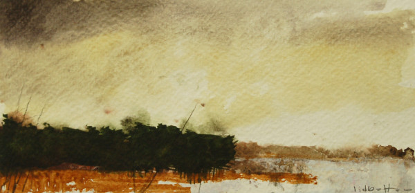 Experiment 8, Image 1.