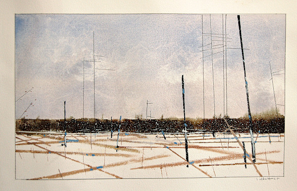Fallen Trees, Image 1.
