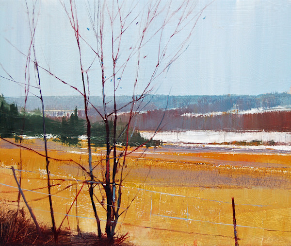 Fence Line, Image 1.