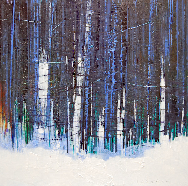 Forest 1 by David Lidbetter Fine Art
