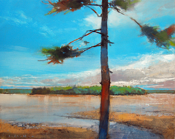 Kitchissippi Lookout by David Lidbetter Fine Art