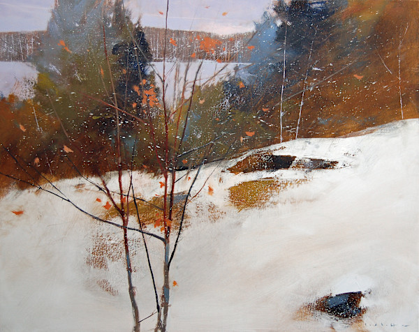 Lac Beauchamp by David Lidbetter Fine Art, Image 1.