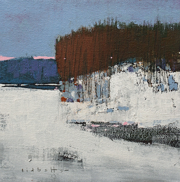 Meech Lake in Winter by David Lidbetter Fine Art