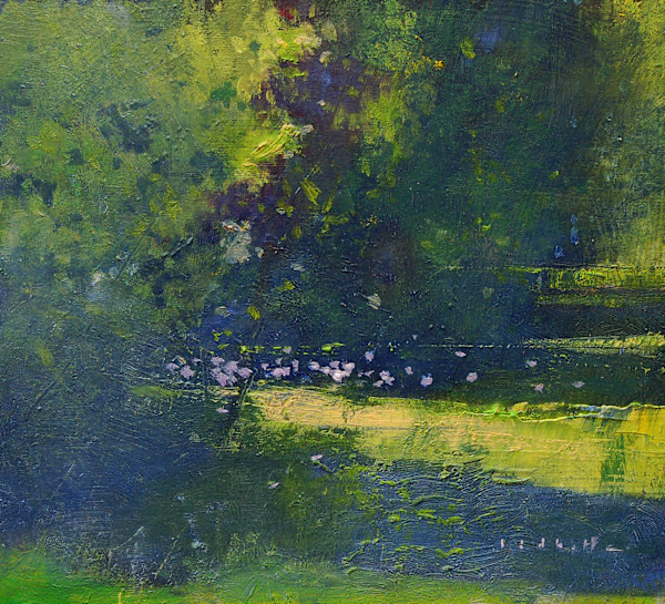 Morning Dance by David Lidbetter Fine Art, Image 1.