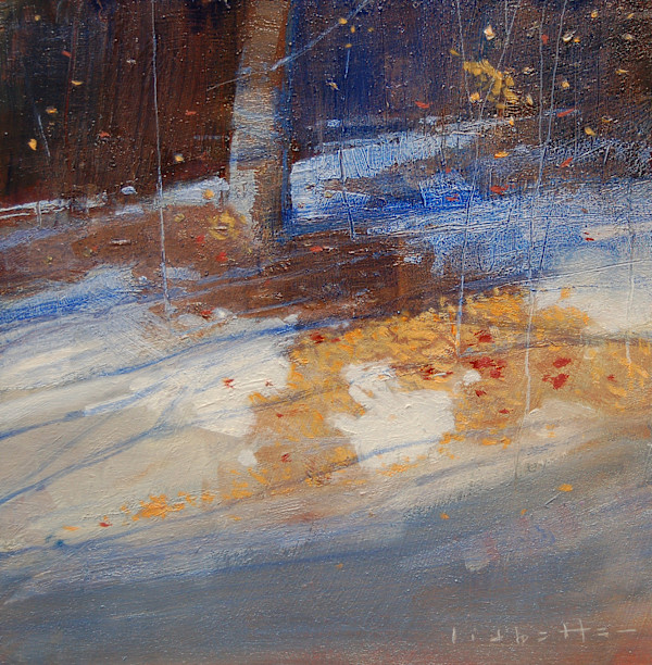 Roots To Needles by David Lidbetter Fine Art