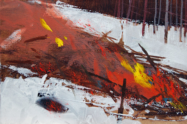 Slash Pile 2 by David Lidbetter Fine Art