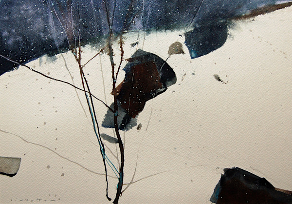 Snow Fall by David Lidbetter Fine Art, Image 1.