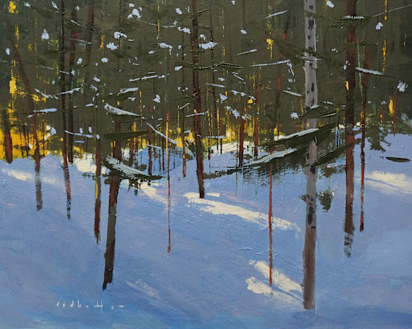 Snow In The Trees by David Lidbetter Fine Art
