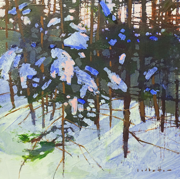 Snow Patterns by David Lidbetter Fine Art, Image 1.