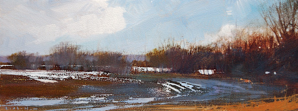 Spring Field, Image 1.