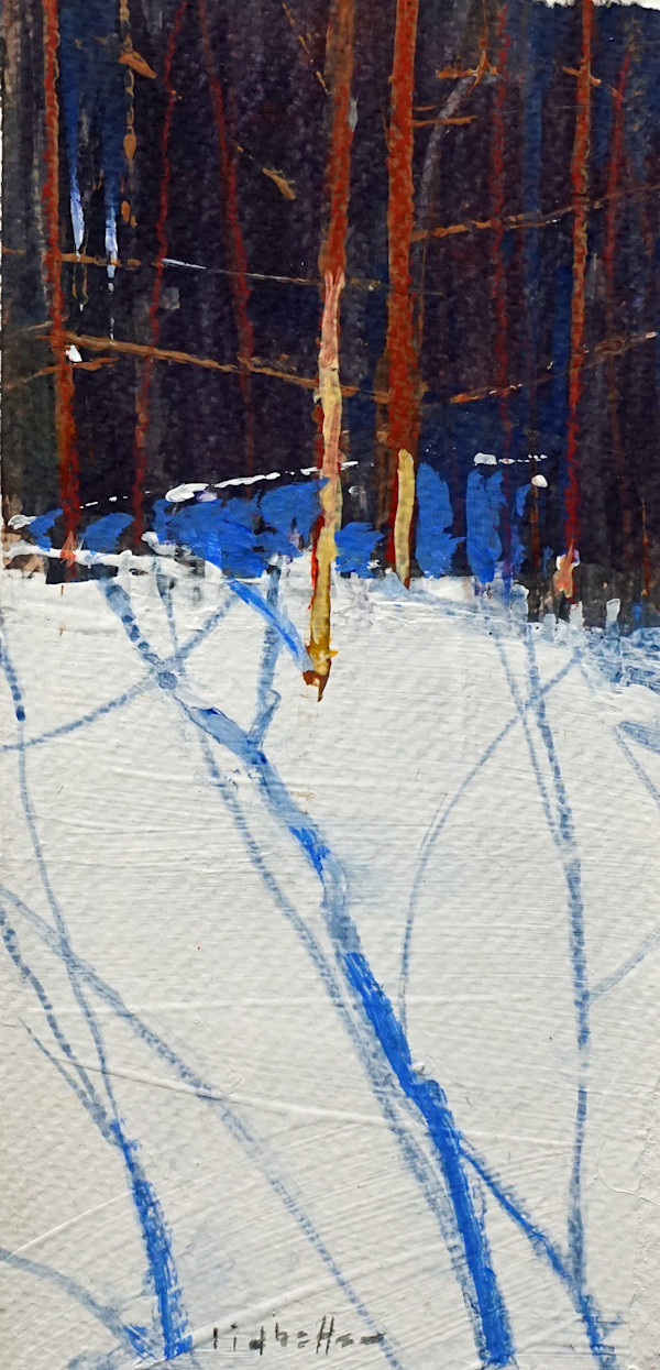 Sunlight and Snow by David Lidbetter Fine Art