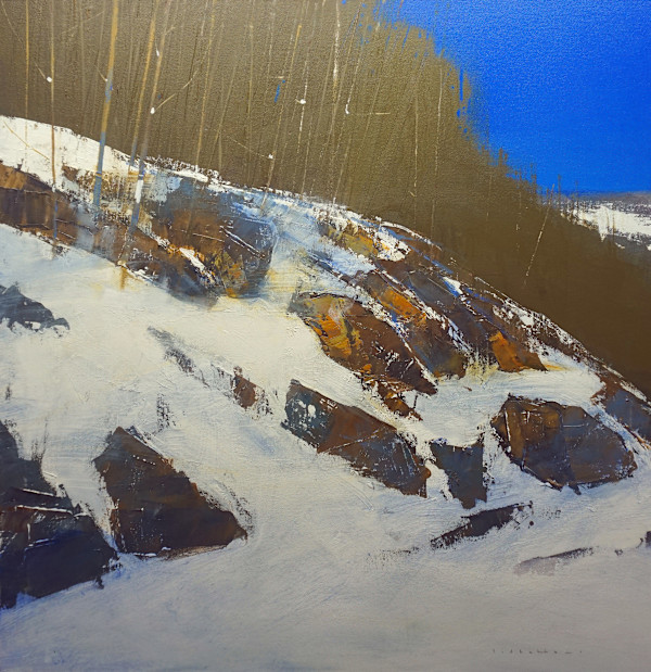 The Shield by David Lidbetter Fine Art, Image 1.