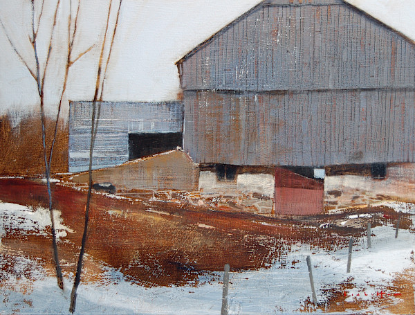 Weatherbeaten by David Lidbetter Fine Art