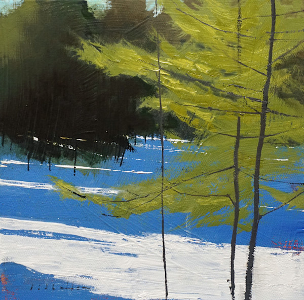 Winter Sun by David Lidbetter Fine Art, Image 1.