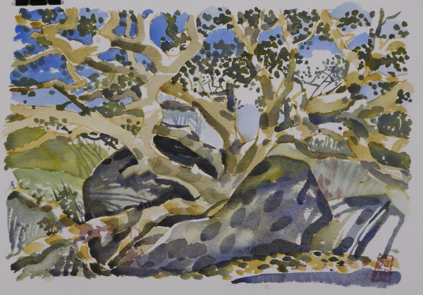 Samsara by Hans Wilreker