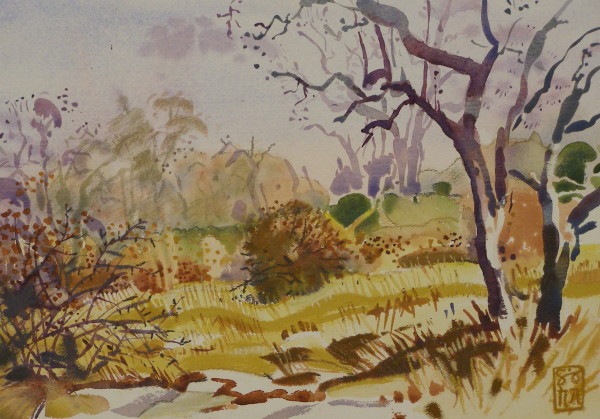 Samsara by Hans Wilreker