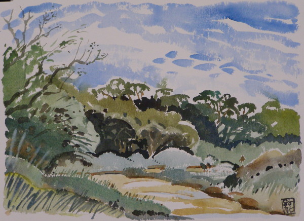 Samsara by Hans Wilreker