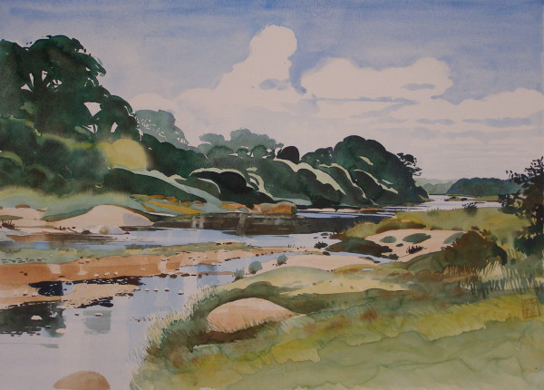 Riv_1999_04_Biyamati_river_2-aqua-720x520_3740_zp8ua6_13 by Hans Wilreker