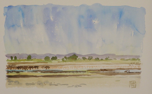 S16_g4lwve_4 by Hans Wilreker