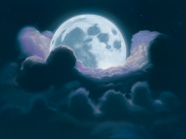 Goodnite Moon by Michael Provenza