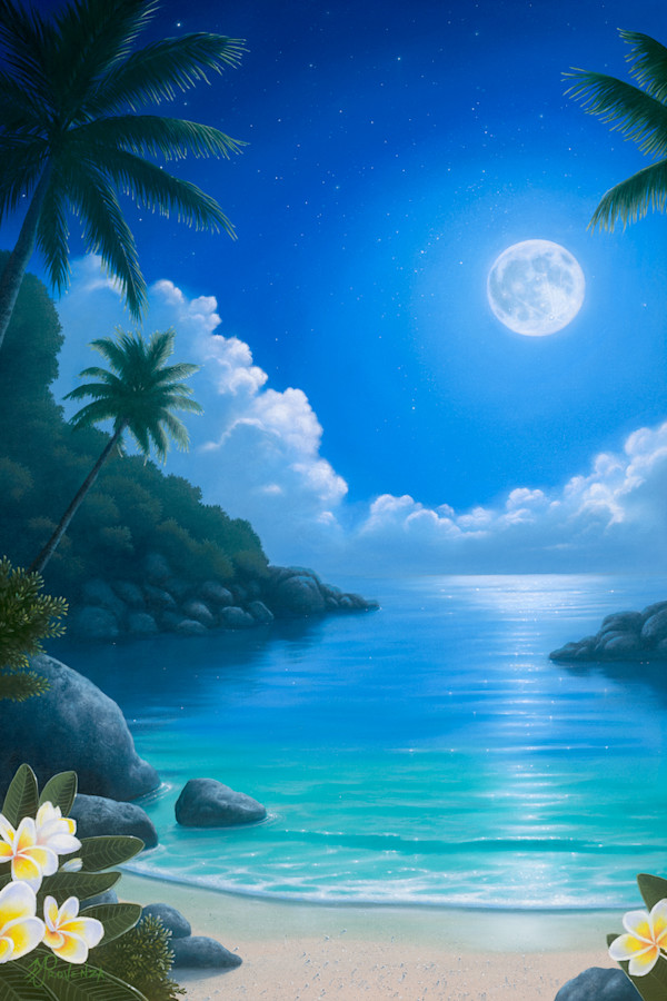 Tropical Star Bright by Michael Provenza