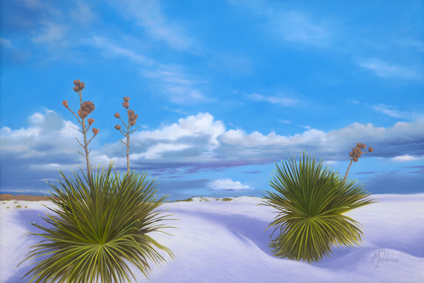 White Sands by Michael Provenza