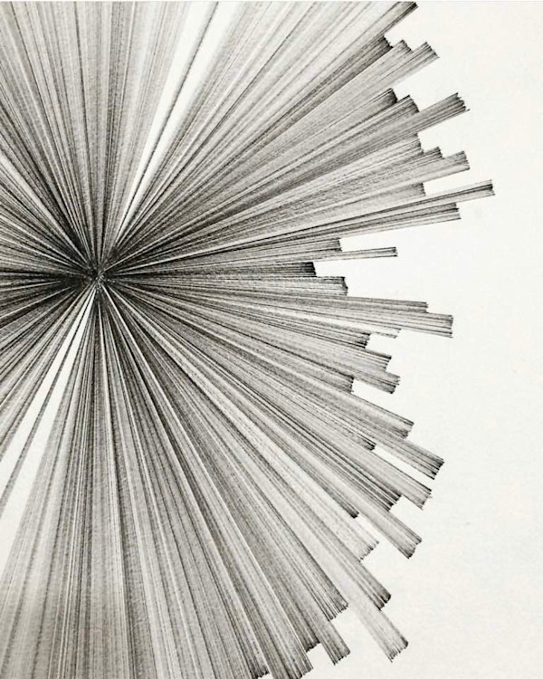 variations on a pivot by Gabe Fonorow, Image 1.