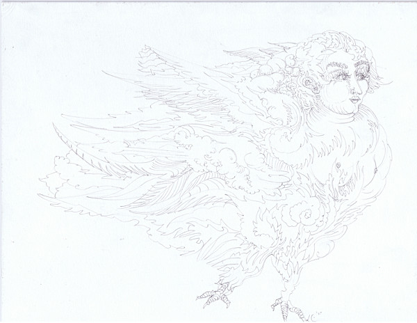 Bird by Lee Conklin