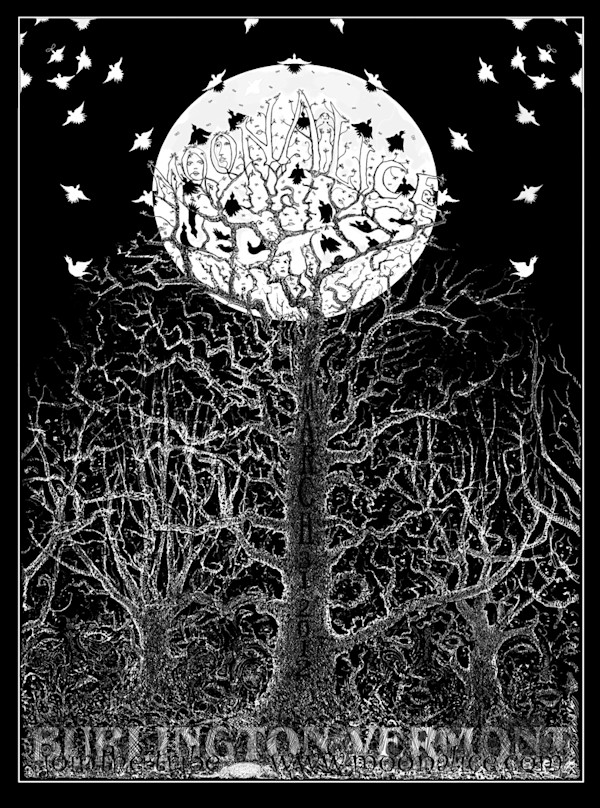 Moonalice Burlington, Vermont by Lee Conklin, Image 1.