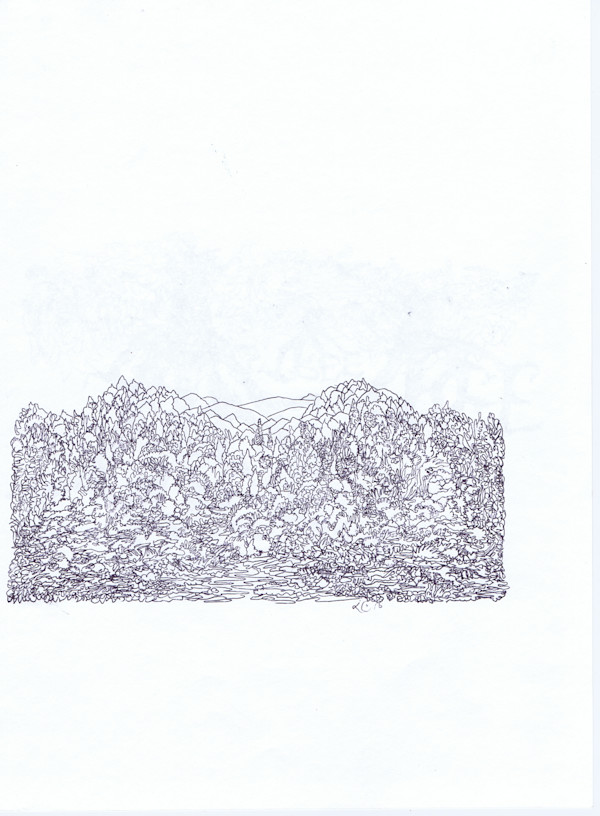 Back of Three, Image 1.