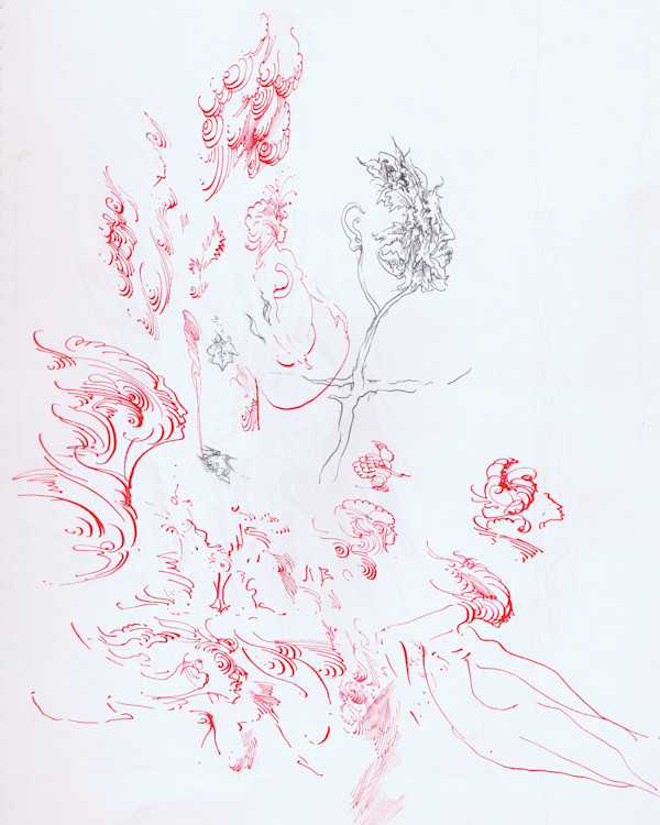 Clip10 by Lee Conklin, Image 1.