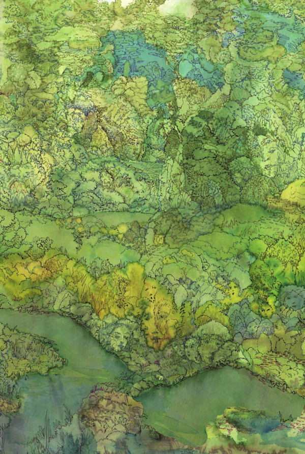crop by Lee Conklin