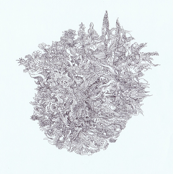 facescape by Lee Conklin, Image 1.
