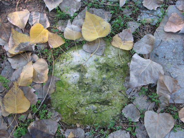 green man  by Lee Conklin, Image 1.
