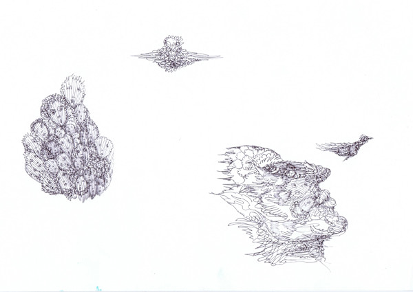 nosecape by Lee Conklin, Image 1.