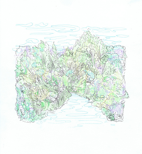 Scribble Creek