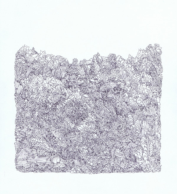 Scribrush, Image 1.