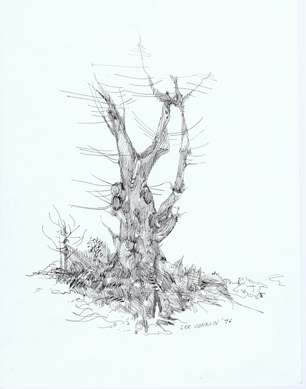 Snag by Lee Conklin, Image 1.