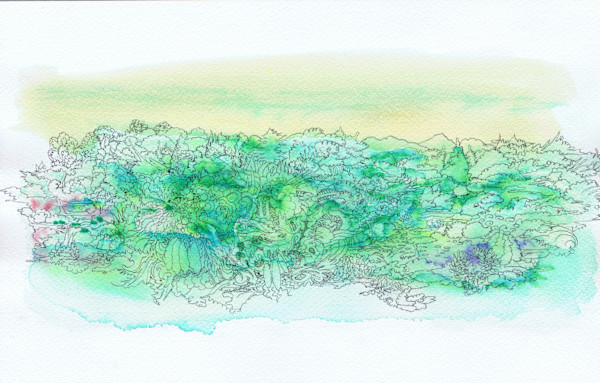 The Isle of  What by Lee Conklin