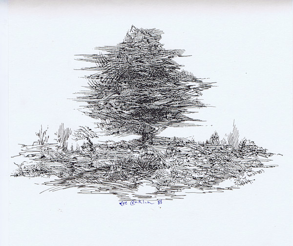 Treed by Lee Conklin, Image 1.