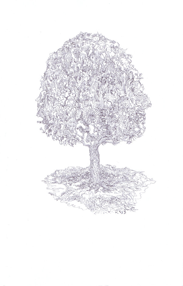Treeprofile by Lee Conklin