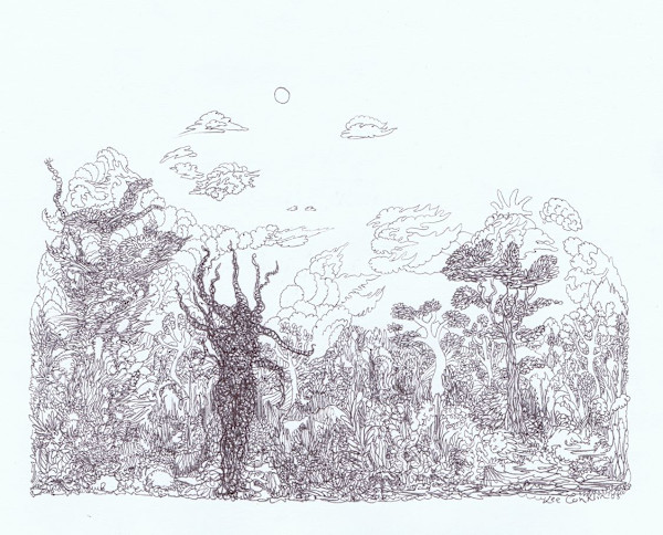 wierdscape by Lee Conklin