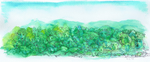 woods by Lee Conklin, Image 1.