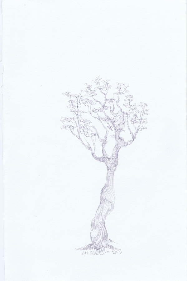 Youtree by Lee Conklin